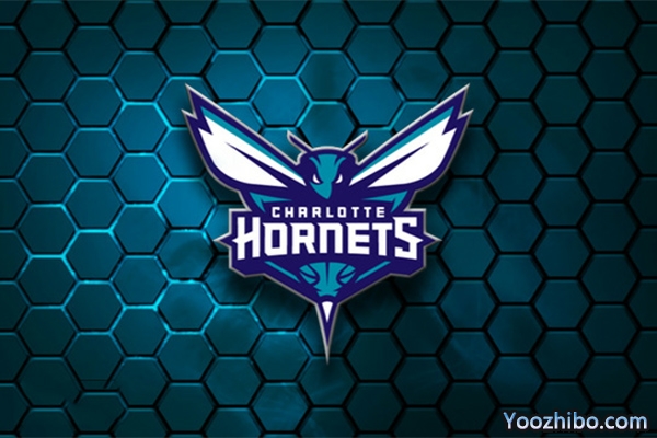 2019-2020赛季<a href=/lanqiuxg/hornets/ target=_blank class=infotextkey>黄蜂</a>队队徽